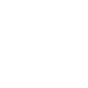 avemex