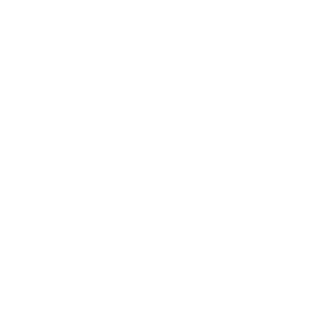 CIE OCESA