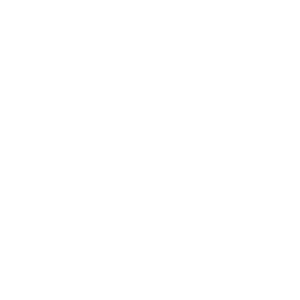 EGADE