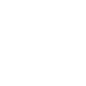 Raza diseño